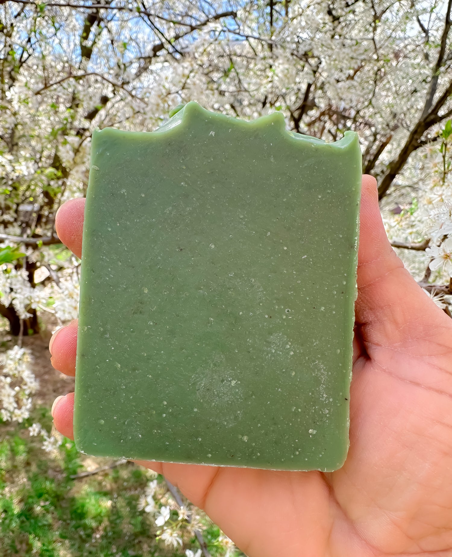 Aloe Vera Soap