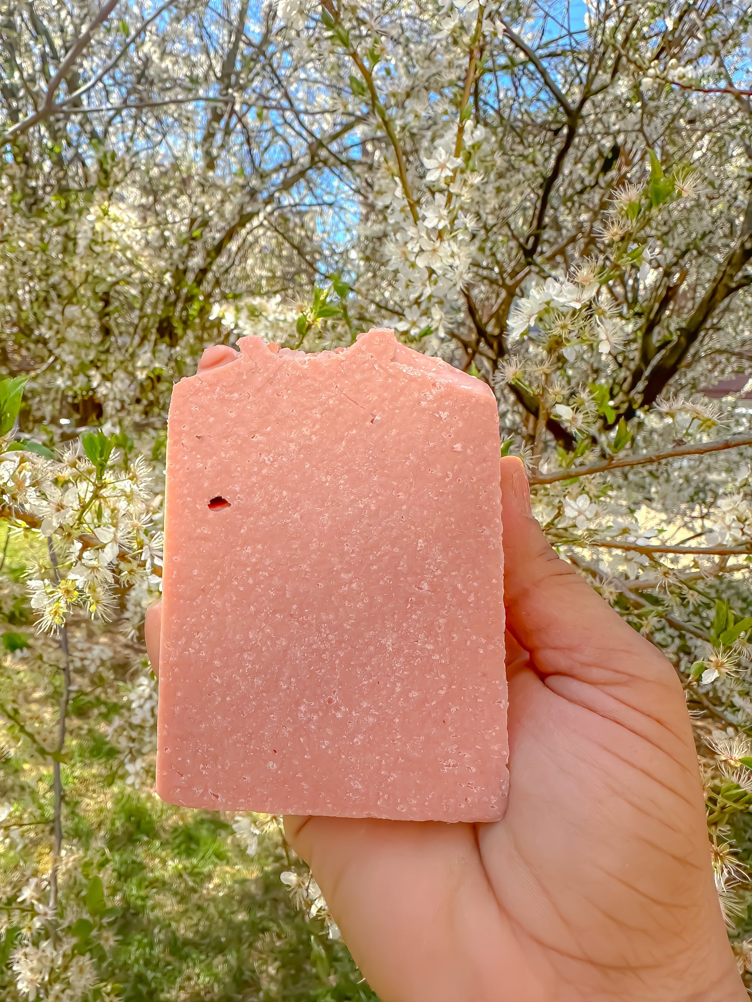 Himalayan salt Soap