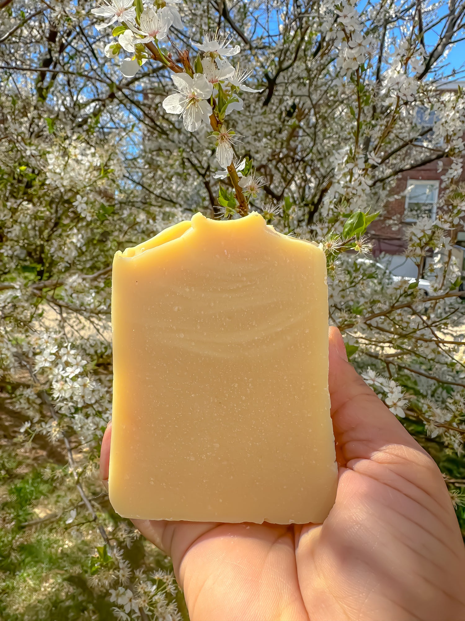 Coconut milk soap